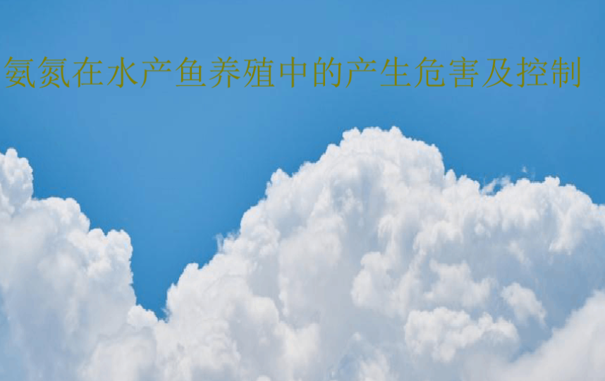 氨氮在水产养殖中的产生与危害